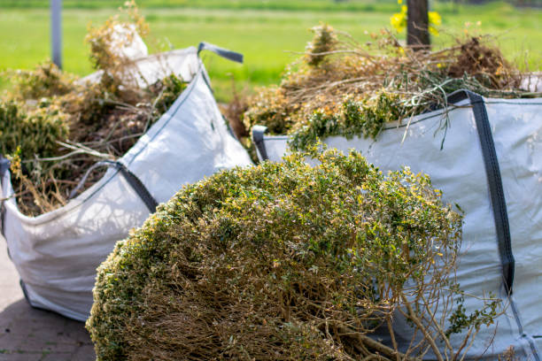 Best Professional Junk Removal  in Versailles, OH